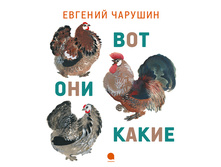 ��� ��� �����