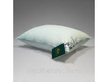 ������� ������� ��������.jpg