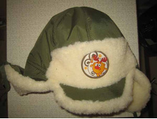 to DimOS & ��������