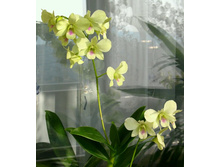 ����� ������ ���� ����.jpg