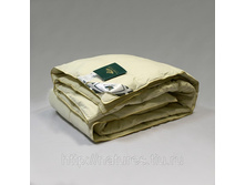 ������ ������� ������� ��������� ������.jpg