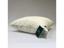 ������� ������� �������.jpg