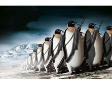 ������������� ���