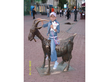 ����� ��������