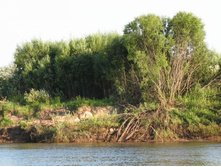 ������ :)