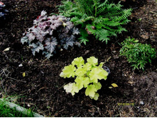 2 �������. �� ������� ��JPG