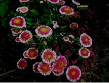 ����� ������.JPG