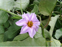 �������� ������.JPG