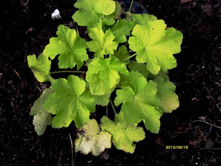 ������� ��-�������.JPG