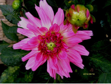 �������� �������.JPG