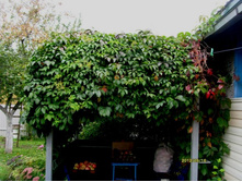 �� �� ������2.JPG