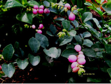 ������������� �.JPG