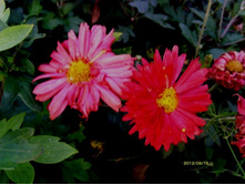 ���������� 3.JPG