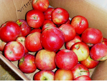 ������ ���������.JPG