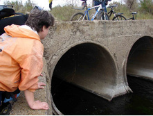 �������� (� �������:-)