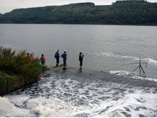 �� ������