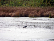 ����� � ��������