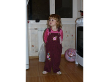 ������ �������