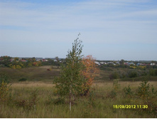 �. ������