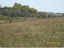 ����� ��� ����