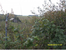 �������� ������