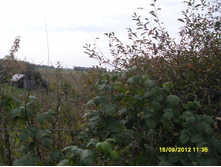 �������� ������