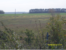 �������� ������