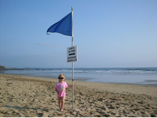 ������. ������� ����.