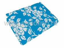 ���� �������.jpg