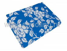 ���� �����.jpg