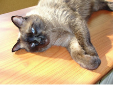 �� �� ����� ��������