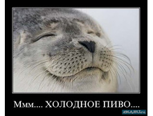 22.07.2010 16:44:11
