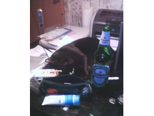 ���������. :-)