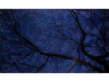 �������� ����