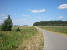 ����� ������ � ���� ������