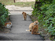 ������� �����, �ݣ ���� ����� �� ����� ������ � ���� �� ������! � ������ �� � ����� ����� ������� �������?