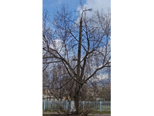 � ����� � ��������� - ������� ������ � ������ (��� � ��� ������ �������- ������ � ���������! )