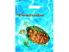 20 ��� �� 4 ������