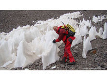 ����� � �������� ������� ������