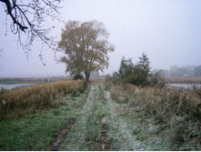 ������ ���� ��� ����� ����� ?