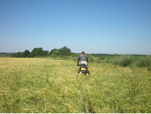 � ���� �� ������� ���������� � ������������ ��������