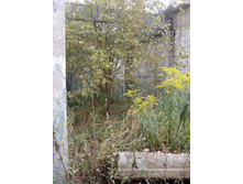 ����� ���