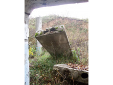 ����� ���