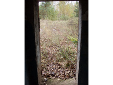 ����� ���