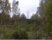 ����������� �����