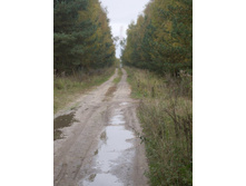 ������ �� �������� ����