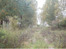 ������ �� �������� �������