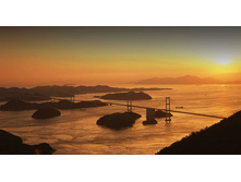 ������� ���� 