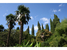 ������� ������