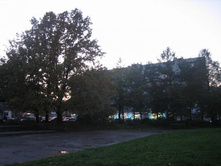 ������ ���